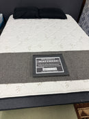 Mickhel's Series 400 Firm NASA Technology